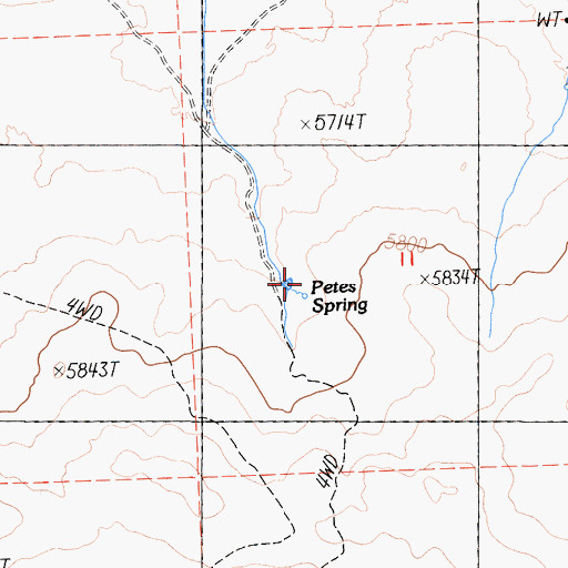 Topographic Map of Petes Spring, CA