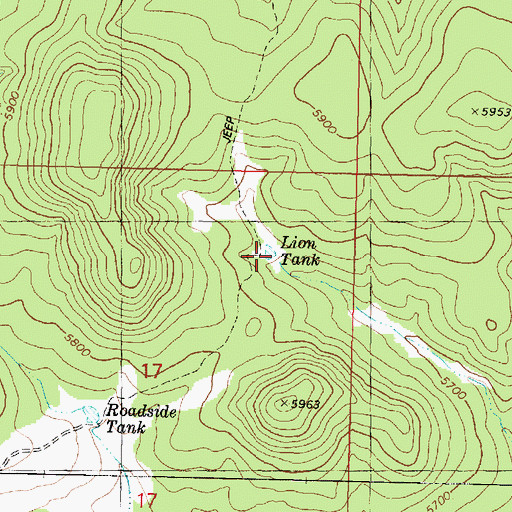 Topographic Map of Lion Tank, AZ
