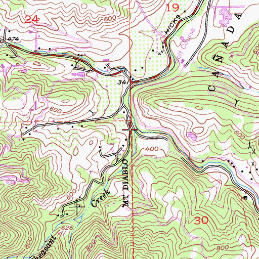Topographic Map of Pheasant Creek, CA