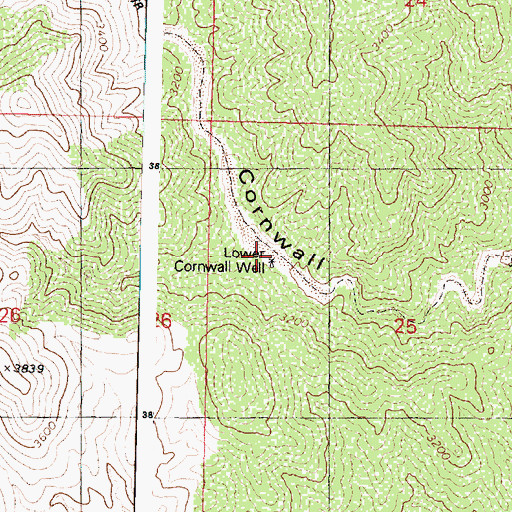 Topographic Map of Lower Cornwall Well, AZ