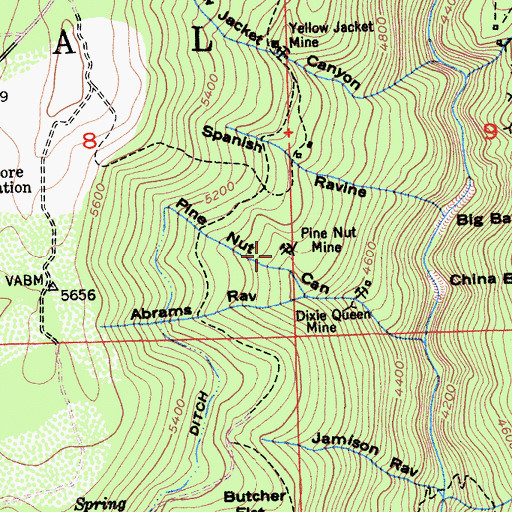 Topographic Map of Pine Nut Mine, CA