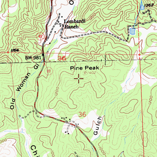 Topographic Map of Pine Peak, CA