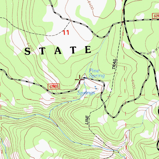 Topographic Map of Pine Spring, CA