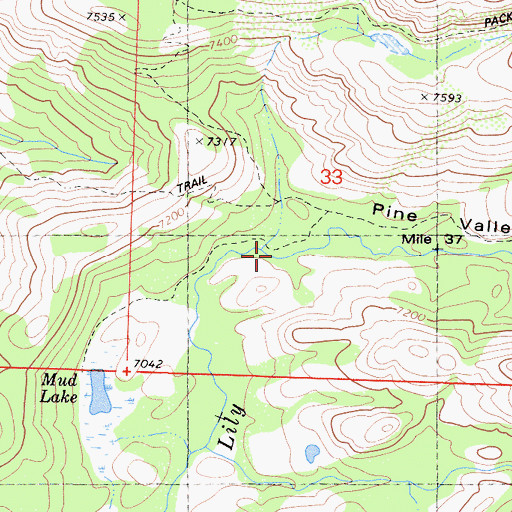 Topographic Map of Pine Valley, CA