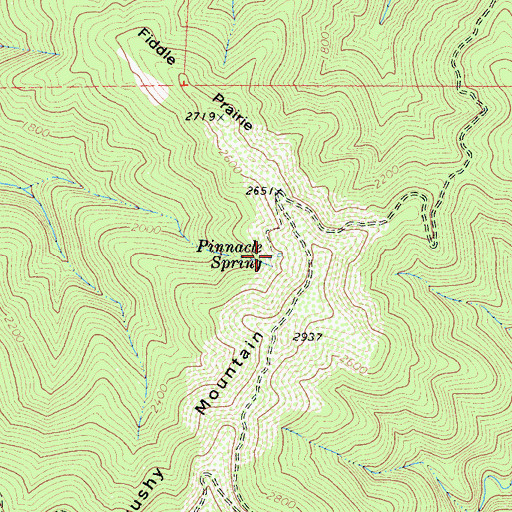 Topographic Map of Pinnacle Spring, CA