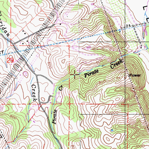 Topographic Map of Pirate Creek, CA
