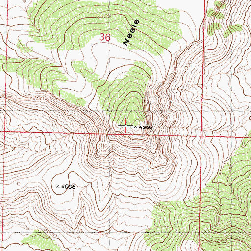 Topographic Map of Neale Mesa, AZ