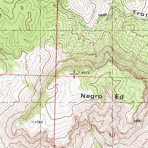 Topographic Map of Negro Ed, AZ