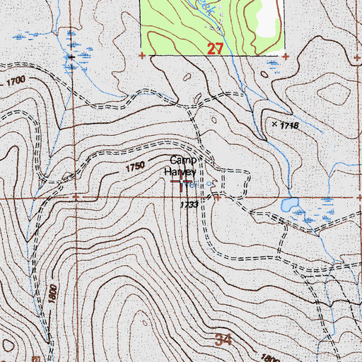Topographic Map of Puls Camp, CA