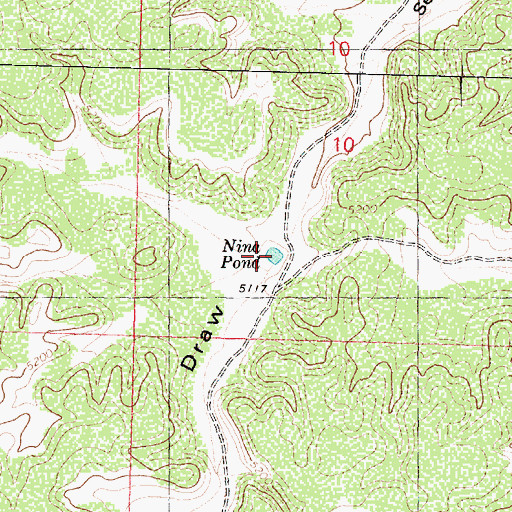 Topographic Map of Nina Pond, AZ