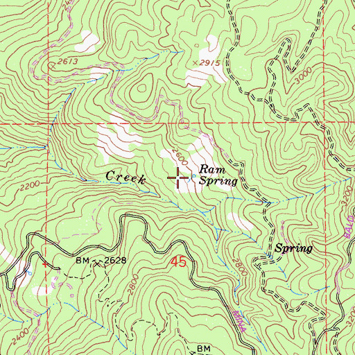 Topographic Map of Ram Spring, CA