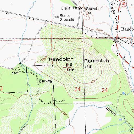 Topographic Map of Randolph Hill, CA