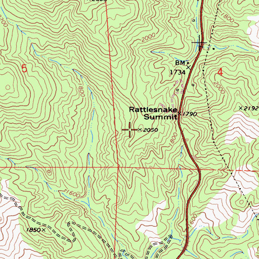 Topographic Map of Rattlesnake Summit, CA