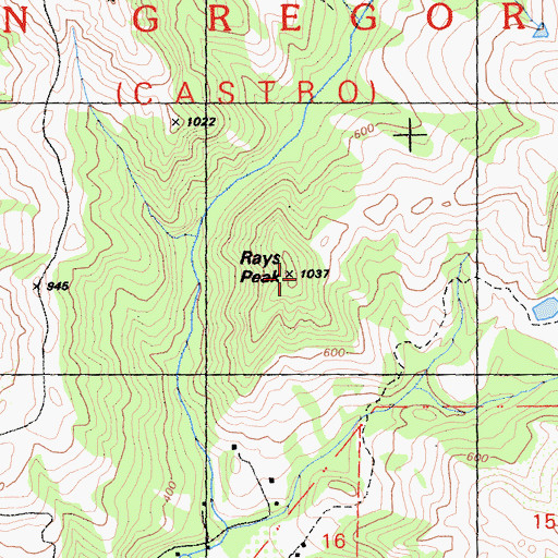 Topographic Map of Rays Peak, CA