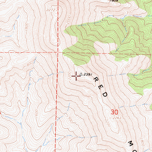 Topographic Map of Red Mountain, CA