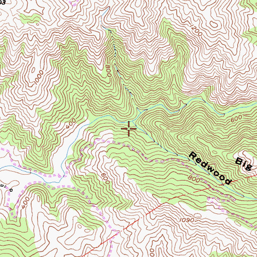 Topographic Map of Redwood Canyon, CA