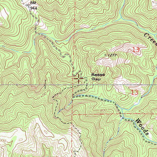 Topographic Map of Reese Gap, CA