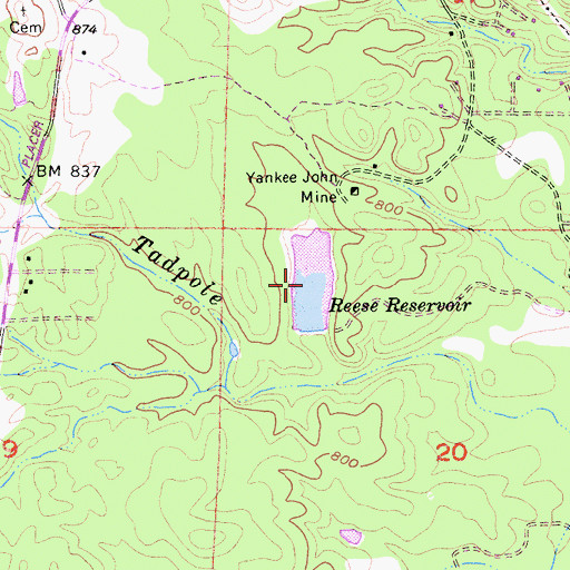 Topographic Map of Reese Reservoir, CA