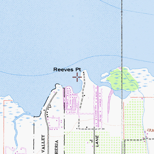 Topographic Map of Reeves Point, CA
