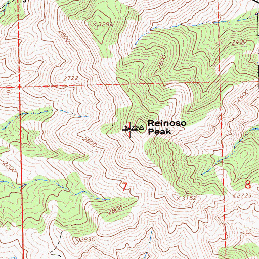 Topographic Map of Reinoso Peak, CA