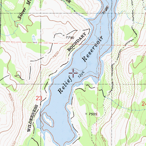 Topographic Map of Relief Reservoir, CA