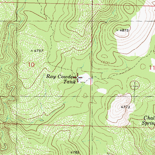 Topographic Map of Ray Cowden Tank, AZ