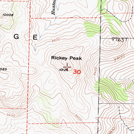 Topographic Map of Rickey Peak, CA