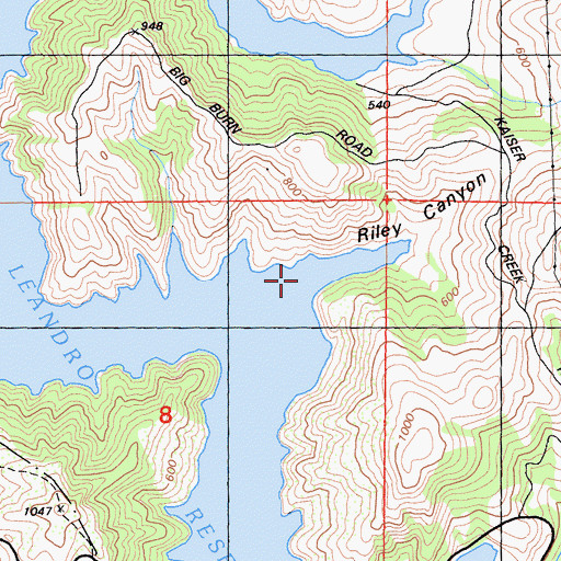 Topographic Map of Riley Canyon, CA
