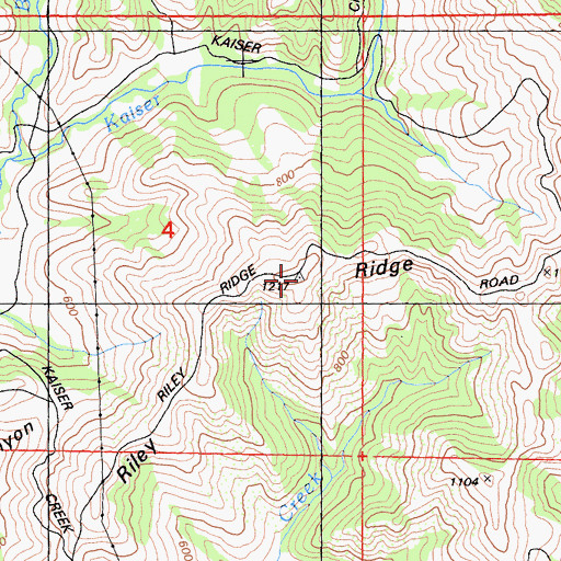 Topographic Map of Riley Ridge, CA