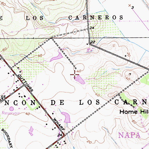 Topographic Map of Rincon De Los Carneros, CA