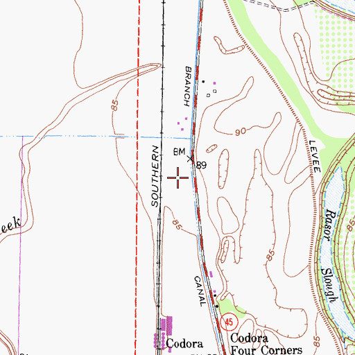 Topographic Map of River Branch Canal, CA