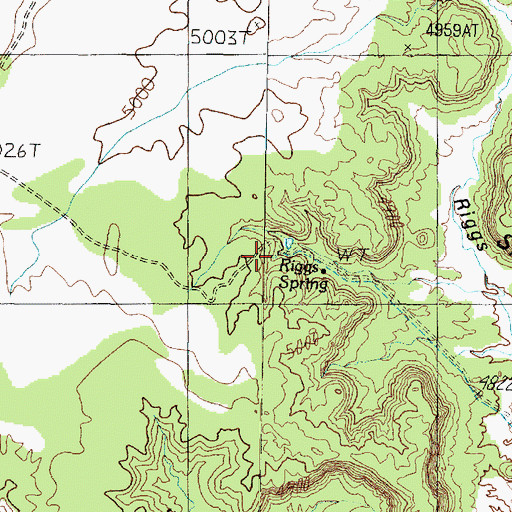 Topographic Map of Riggs Spring, AZ