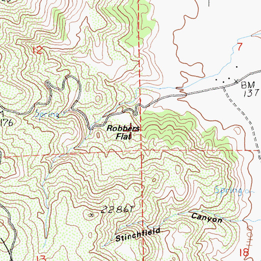 Topographic Map of Robbers Flat, CA