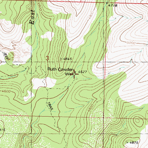 Topographic Map of Ruth Cowden Well, AZ