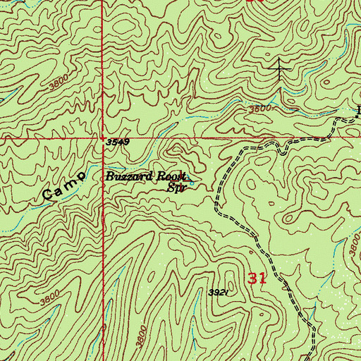 Topographic Map of Buzzard Roost Spring, AZ