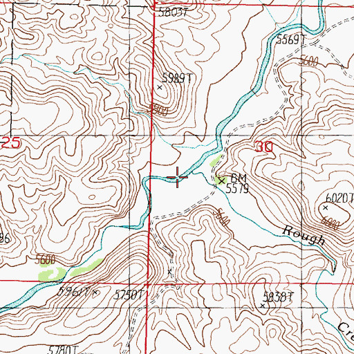 Topographic Map of Rough Creek, NV