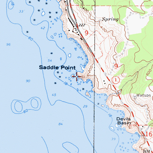 Topographic Map of Saddle Point, CA