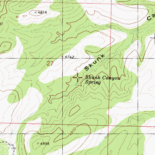 Topographic Map of Skunk Canyon Spring, AZ