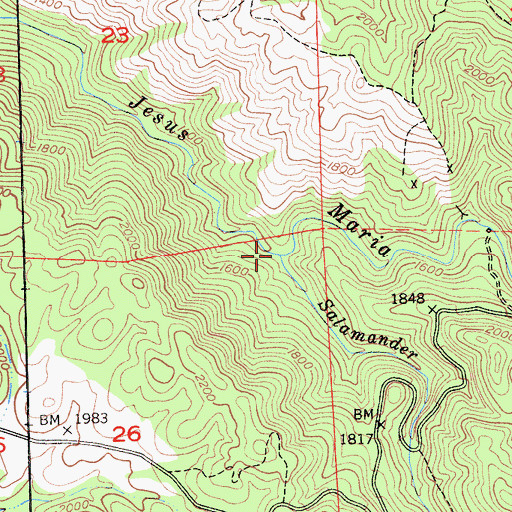 Topographic Map of Salamander Creek, CA
