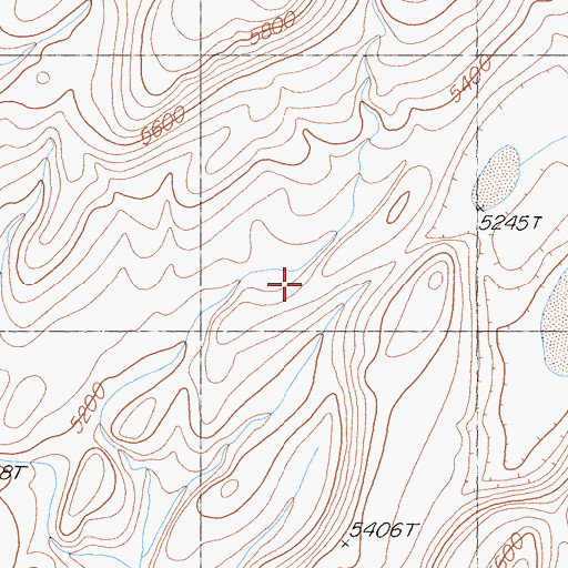Topographic Map of Saline Range, CA