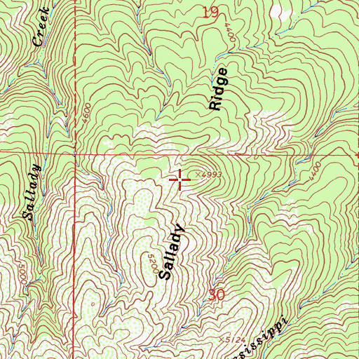 Topographic Map of Sallady Ridge, CA