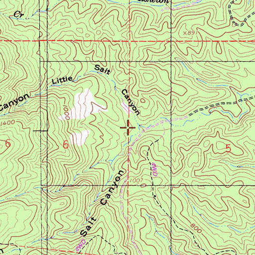 Topographic Map of Salt Canyon, CA