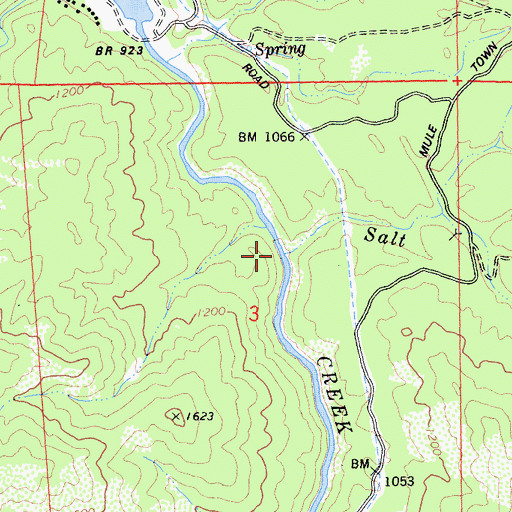 Topographic Map of Salt Creek, CA
