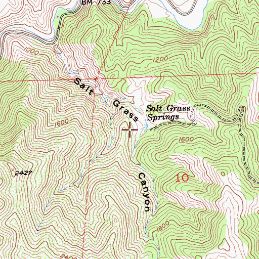 Topographic Map of Salt Grass Springs, CA