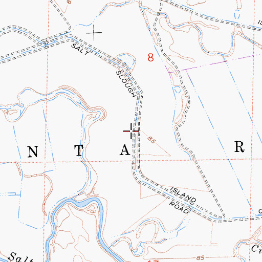 Topographic Map of Salt Slough Island Canal, CA