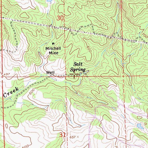 Topographic Map of Salt Spring, CA