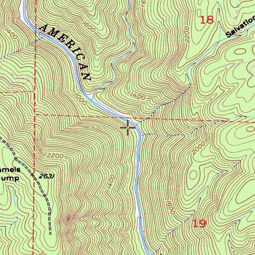 Topographic Map of Salvation Ravine, CA