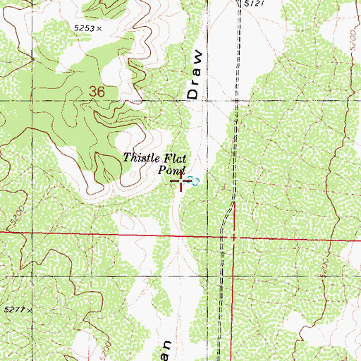 Topographic Map of Thistle Flat Pond, AZ
