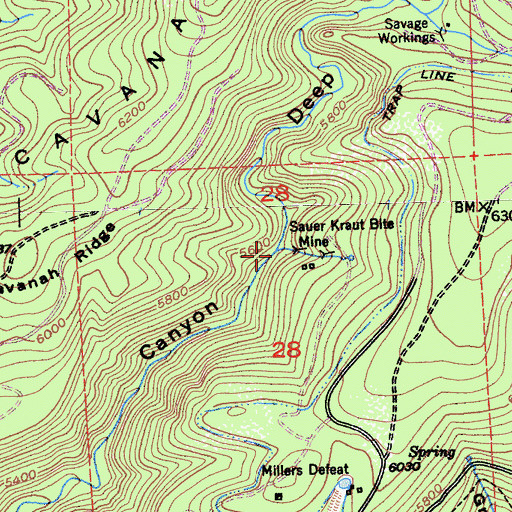 Topographic Map of Sauer Kraut Bite Mine, CA