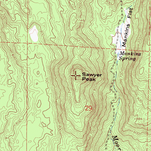 Topographic Map of Sawyer Peak, CA